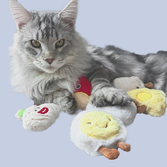 CAT TOYS VARIETY PACK FOR KITTY (8PCS)